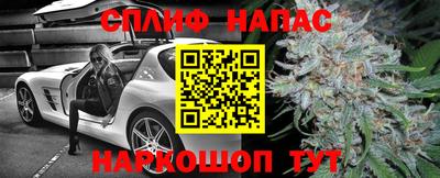 гидра Балашиха