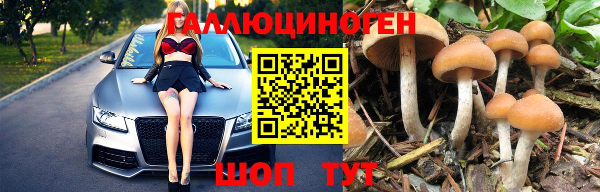 Галлюциногенные грибы Psilocybe Белогорск
