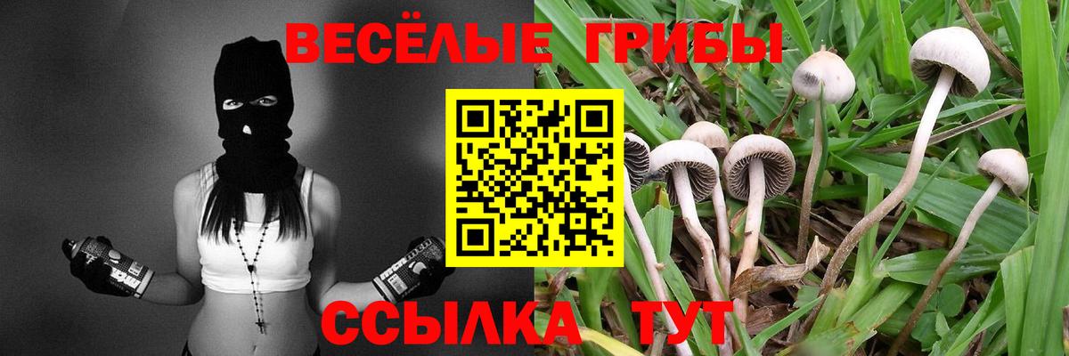 купить наркоту  Псилоцибиновые грибы MAGIC MUSHROOMS  Вход с VPN  Белогорск 
