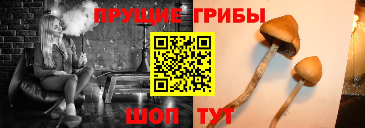 Галлюциногенные грибы Magic Shrooms  Белогорск 